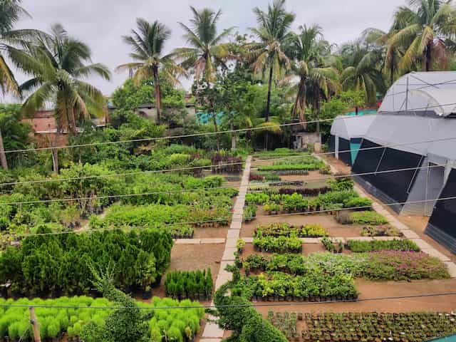 R K Nursery Raigarh
