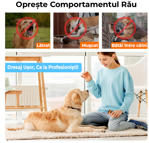 Dresaj fără bătăi de cap